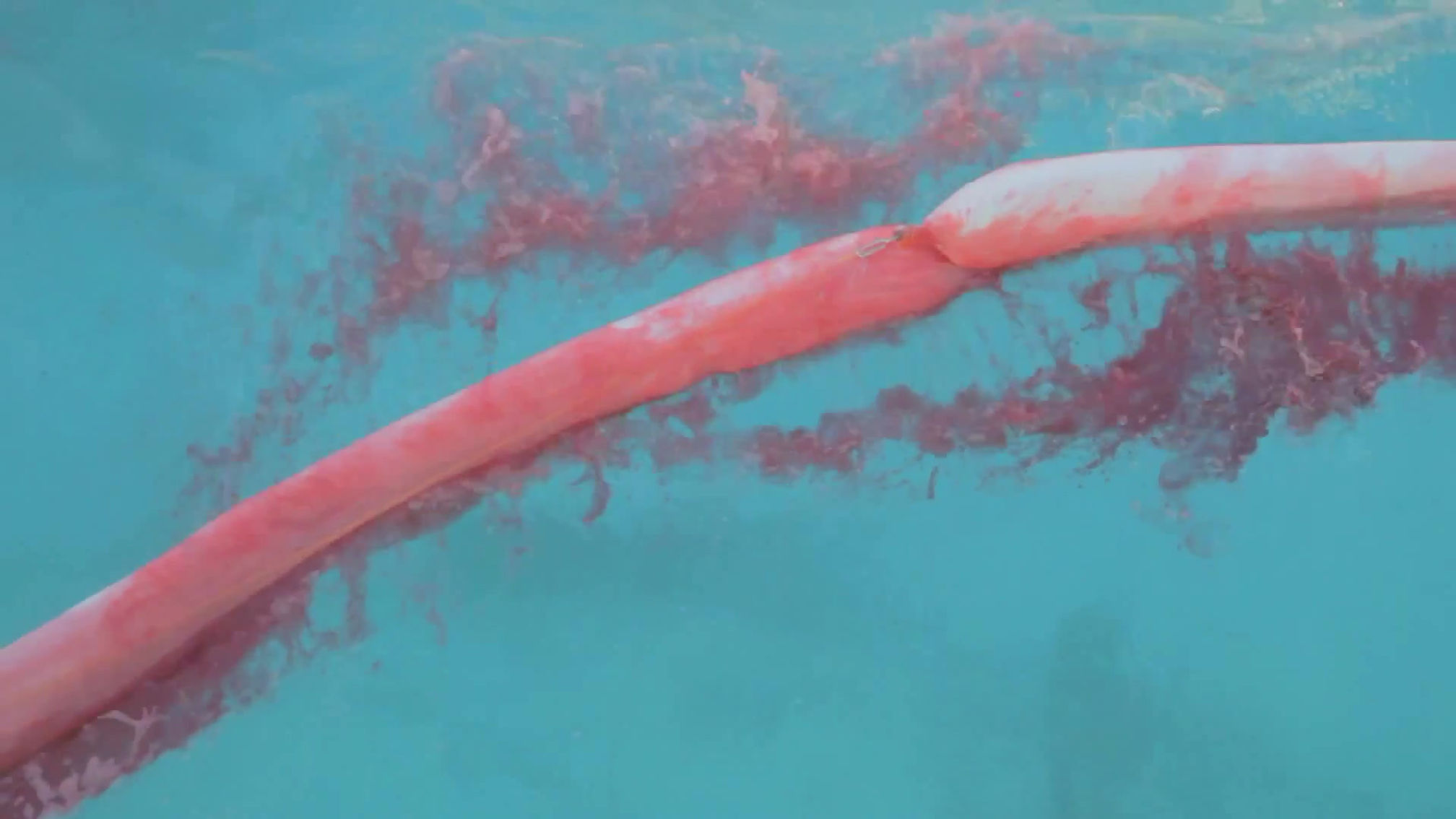 AquaFlex Open Cell Eelgrass vs. White Round Boom_ Tested at Ohmsett (1080p)